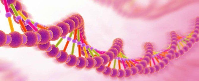 DNA – Λειτουργία της γονιδιακής έκφρασης .