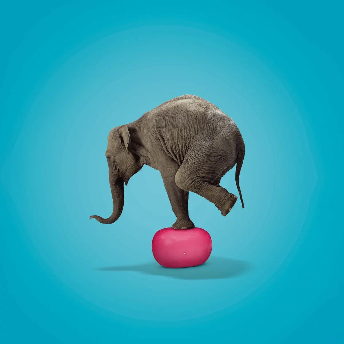 elephant-on-ball-Olistiki-ygeia-enarmonisi Υγεία εναρμονιση ελέφαντας κάνει ισορροπία